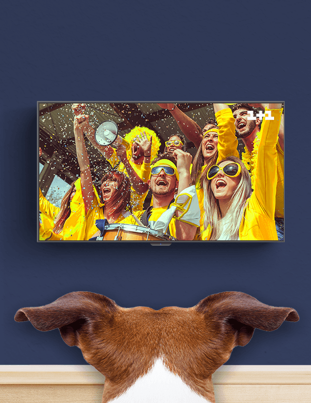 iptv banner